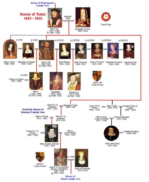 dinastia tudor stemma|tudor monarchs family tree.